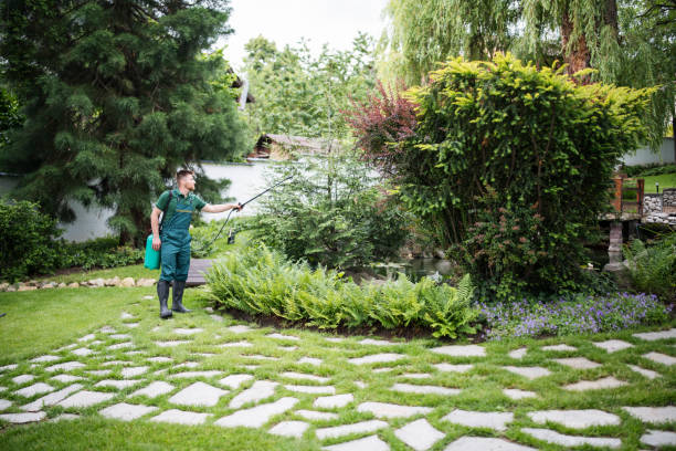 Best Affordable Pest Control Services  in Fair Oaks Ranch, TX
