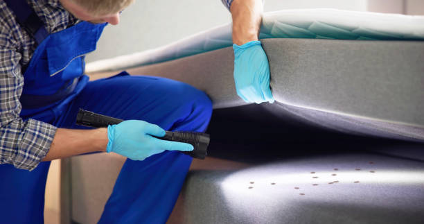 Best Local Pest Control Services  in Fair Oaks Ranch, TX